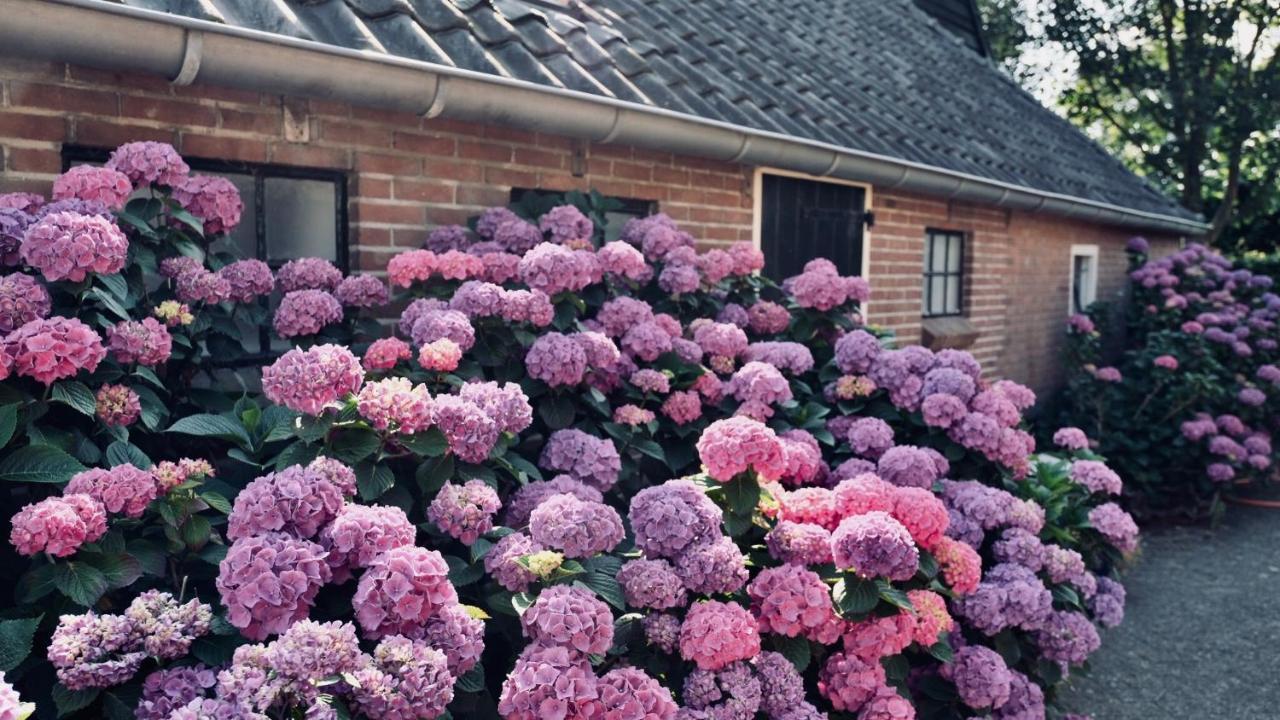 Onder De Appelboom Bed and breakfast Garminge